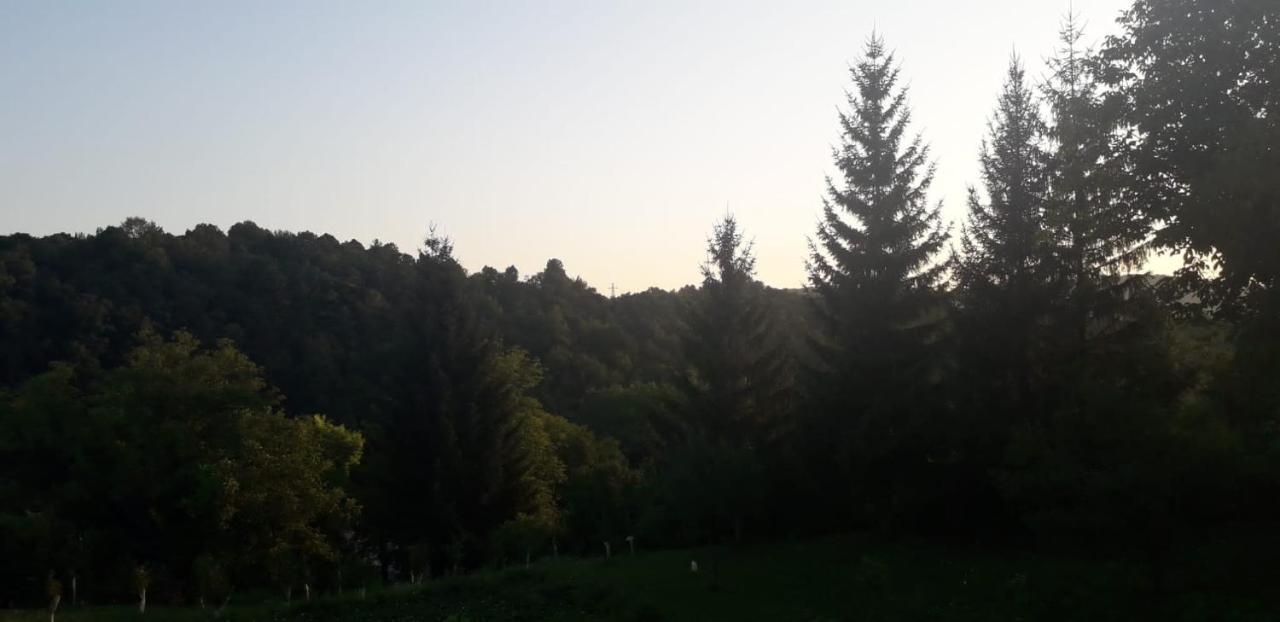 House Narta - Rastoke Apartment Слуни Екстериор снимка